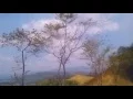 Download Lagu Pelaminan kelabu - versi lipsing