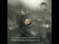 The Soviet Space Dog Project - Morphogenic Waves (2022) AMBIENT. BERLIN SCHOOL
