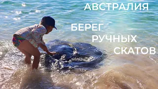 Хэмелин – залив ручных скатов и массовой гибели китов