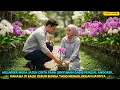 Download Lagu MILIARDER JATUH CINTA PADA SENYUMAN PENJUAL ANGGREK, RAHASIA DI BALIK KEBUN BUNGA YG TAKLUKKAN HATI