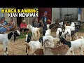 Download Lagu Harga Kambing Jawa Randu Makin Hari Makin Menawan