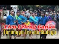 Download Lagu Cicu Celeng Ganas //Turonggo Tresno Budoyo 