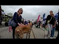 Download Lagu Cash 2.0 Great Dane at the Simi Valley Spring Street Fair 2025 (11 of 12)