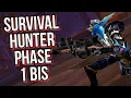 Survival Hunter - Phase 1 BIS