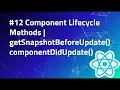 getSnapShotBeforeUpdate in React componentDidUpdate Component Lifecycle React Tutorial