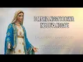 Download Lagu O MARIA NGGA’E DEWA INE DU’A NGGA’E : Lagu Maria Bahasa Lio Ende