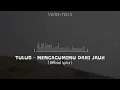 Tulus - Mengagumimu Dari Jauh (Lirik video) | SALMON FOLKS