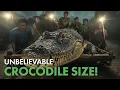 Download Lagu Lolong the Giant Crocodile’s Unbelievable Capture