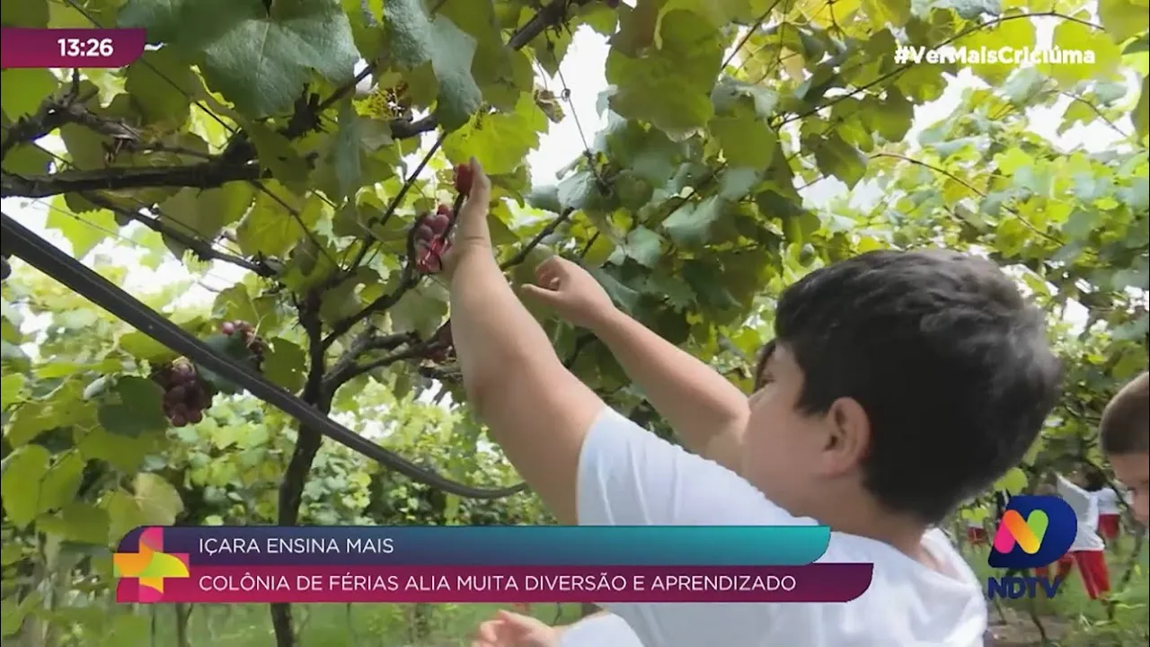 Colônia de férias alia muita diversão e aprendizado em Içara