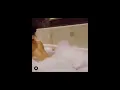 Carmen and Corey s only fans got leaked