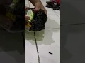 Download Lagu Kok tong yuk https://vt.tiktok.com/ZSDW1fva8/