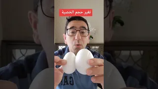 تغير حجم الخصية ذكورة Sh 