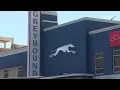 Greyhound bus passengers catch driver falling asleep behind the wheel