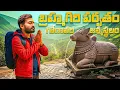 Download Lagu Brahmagiri Hills Full Tour | Godavari Birth Place Brahmagiri Trek in Telugu|| Back Bench Traveller