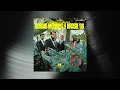 Sergio Mendes & Brasil '66 - Day Tripper (Official Visualizer)