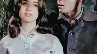 بامر الحب  عبدالحليم حافظ دندنها