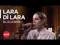 Download Lagu Lara Di Lara @akustikhane / Blackbird (Paul McCartney Cover) / #TadınıÇıkar Blackbird