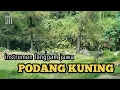 Lagu Instrumen Langgam Jawa - Podang Kuning