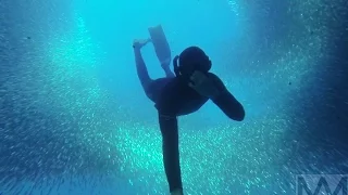 Spearfishing New Zealand Ep. 3: White Island