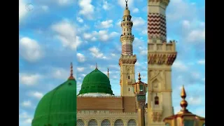 متى القلب الشجي يا ليتني قمرية عامر عطايا 