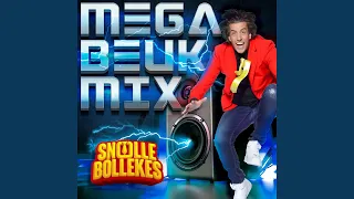 Download Mega Beukmix MP3