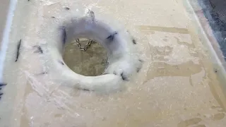 5 Aug 2023  Deck hull joint part 2  Port side