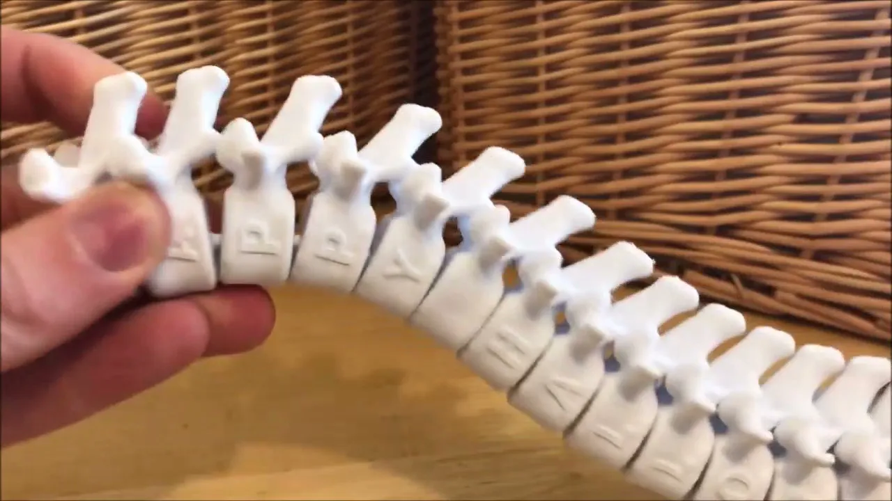 Happy Halloween Articulating Spine
