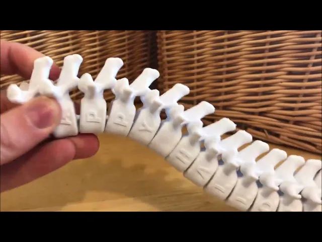 Happy Halloween Articulating Spine video thumbnail