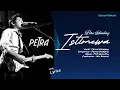 Lagu Petra Sihombing  -  ISTIMEWA  -  Album PILIH SAJA AKU  (with Lyrics)