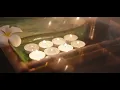 Esencia Day Spa Relaxation Massage Wellness Sanctuary