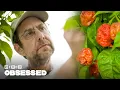 How This Guy Made the World s Hottest Peppers Obsessed WIRED
