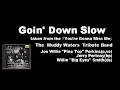Goin' Down Slow - The Muddy Waters Tribute Band