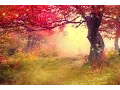 Lagu 2 hours of peaceful relaxing flute and violin instrumental music by Tim Janis