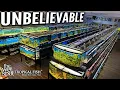 A Legacy of Aquatic Excellence The Wet Spot Tropical Fish Store