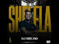 Download Lagu Road to Shelela- dj Rhezoo