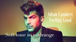 Adam Lambert Feeling Good 