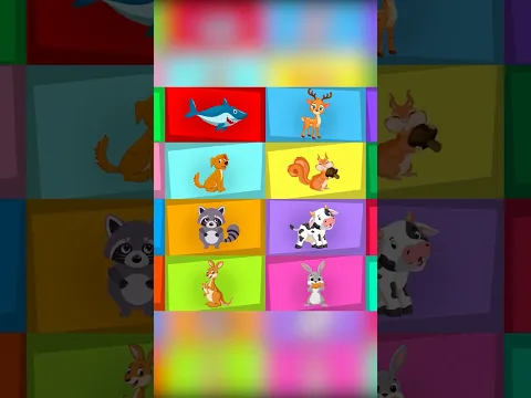 animal song