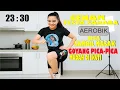 Download Lagu 20 Minutes of Light Aerobics to Lose Weight | Suitable for All Ages \u0026 Can Be Done at Home!