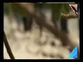 Download Lagu meunumat. imum jhon