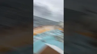 The day the whales came part two