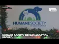 Humane Society of Greater Dayton shatters adoption record 2 910 adoptions in 2025