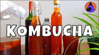 Making Kombucha [How to] Scoby DIY