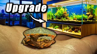 Transforming my Tiny Turtle s Tank