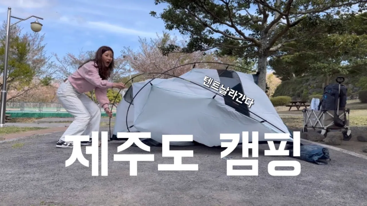 제주도 벚꽃 캠핑 왔어요 / 바람에 다 날라가게 생겼어요 サムネイル