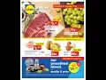 LIDL USA 07-13 09 2017 WEEKLY AD FLYER
