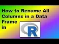 How to Rename All Columns in a Data Frame in R - Demonstration