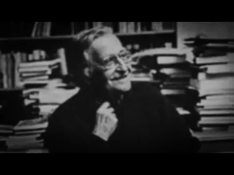 Video: Noam Chomsky - The Essentials