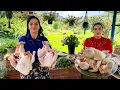 Download Lagu Fried chicken with walnuts, pomegranate paste, and spinach bourani yogurt