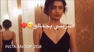 مالو مالو ساهي ولا على بالو    دندنها