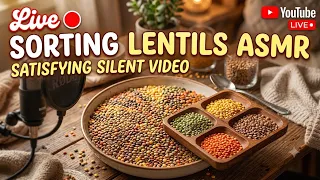 LIVE 🔴 SORTING LENTILS ASMR, SATISFYING SILENT VIDEO 🤐